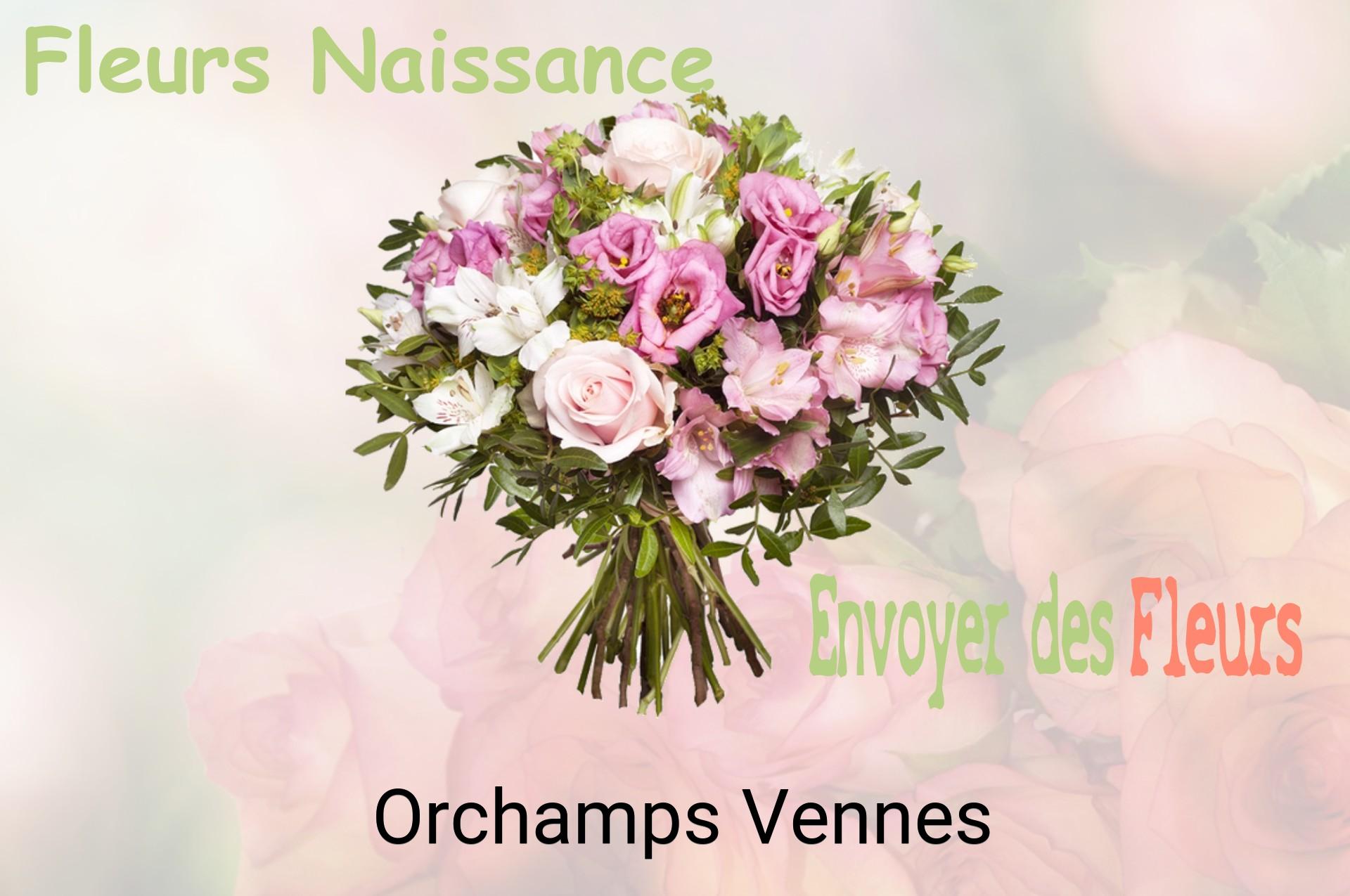 Bouquet de fleurs de naissance livré à Orchamps-Vennes